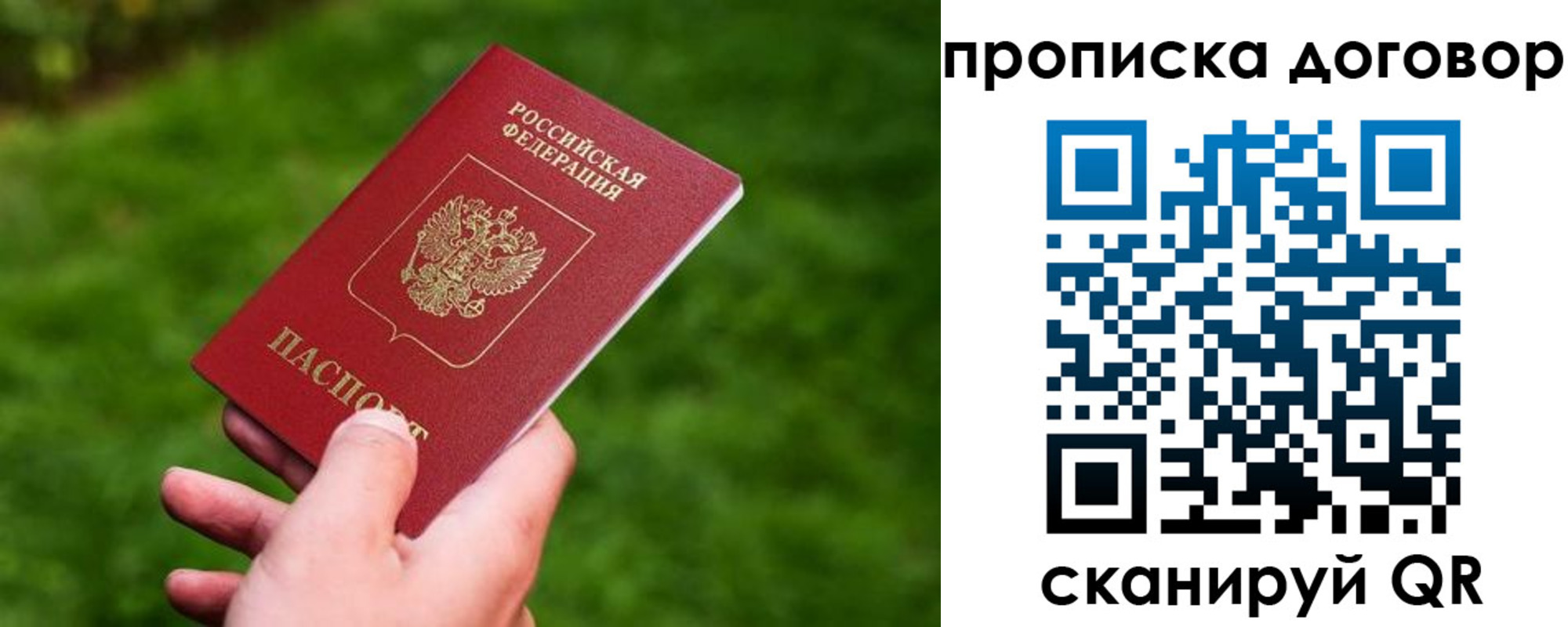 прописка гарантия в Новоалександровске